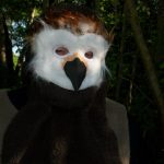 Owl Bear
